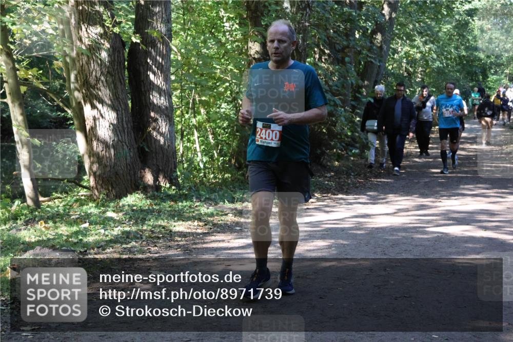 28.09.2025 - 33. Volkslauf durch das schöne Alstertal Strokosch-Dieckow http://msf.ph/oto/8971739 28.09.2025 12:20:44 Laufen 2400 meine-sportfotos.de