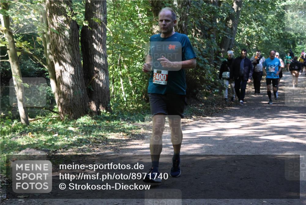 28.09.2025 - 33. Volkslauf durch das schöne Alstertal Strokosch-Dieckow http://msf.ph/oto/8971740 28.09.2025 12:20:44 Laufen 2400 meine-sportfotos.de