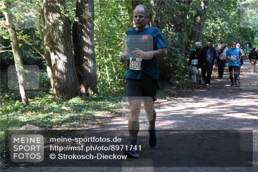 28.09.2025 - 33. Volkslauf durch das schöne Alstertal Strokosch-Dieckow http://msf.ph/oto/8971741 28.09.2025 12:20:44 Laufen 2400 meine-sportfotos.de
