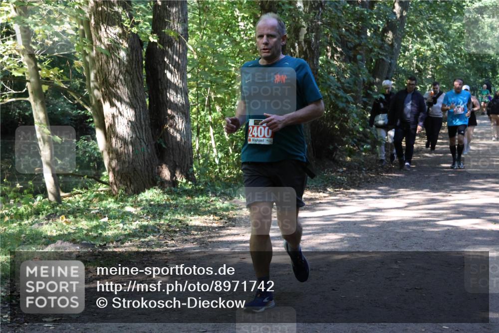 28.09.2025 - 33. Volkslauf durch das schöne Alstertal Strokosch-Dieckow http://msf.ph/oto/8971742 28.09.2025 12:20:44 Laufen 2400 meine-sportfotos.de