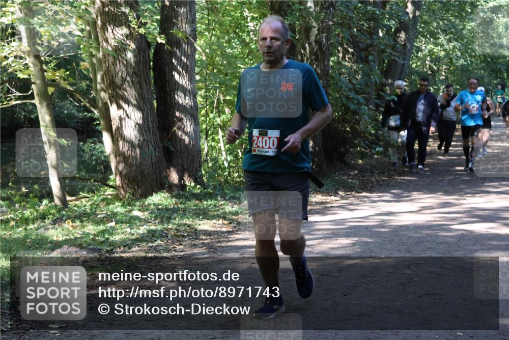 28.09.2025 - 33. Volkslauf durch das schöne Alstertal Strokosch-Dieckow http://msf.ph/oto/8971743 28.09.2025 12:20:44 Laufen 2400 meine-sportfotos.de