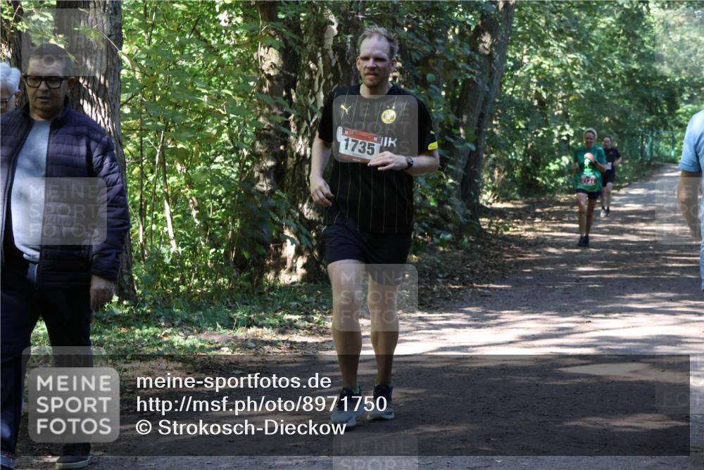 28.09.2025 - 33. Volkslauf durch das schöne Alstertal Strokosch-Dieckow http://msf.ph/oto/8971750 28.09.2025 12:20:56 Laufen 1735 meine-sportfotos.de