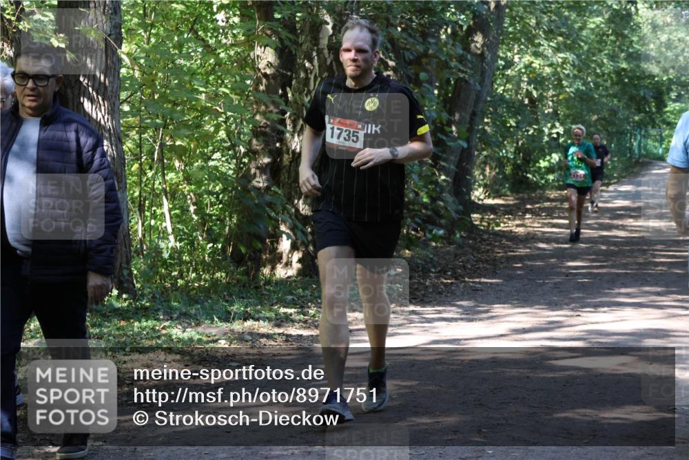 28.09.2025 - 33. Volkslauf durch das schöne Alstertal Strokosch-Dieckow http://msf.ph/oto/8971751 28.09.2025 12:20:57 Laufen 1735 meine-sportfotos.de