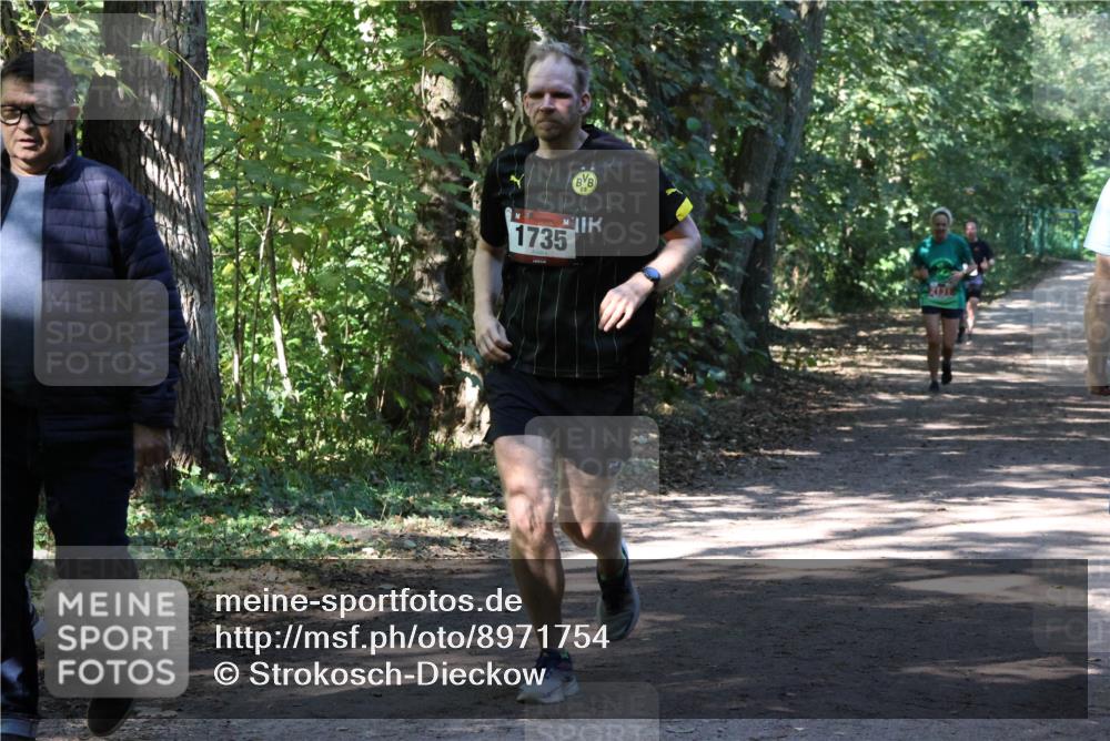 28.09.2025 - 33. Volkslauf durch das schöne Alstertal Strokosch-Dieckow http://msf.ph/oto/8971754 28.09.2025 12:20:57 Laufen 1735 meine-sportfotos.de