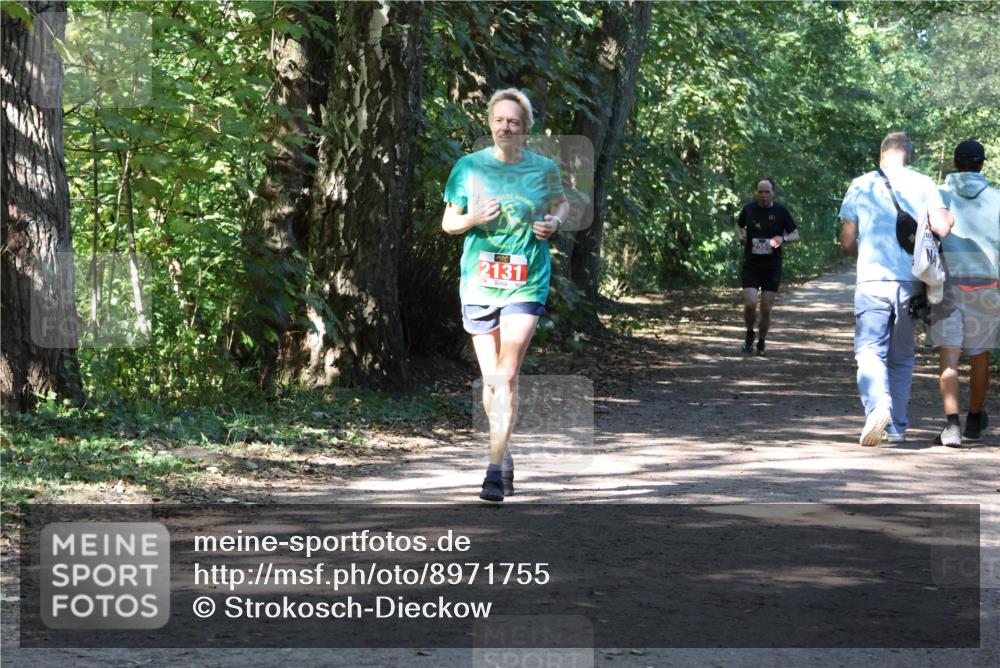 28.09.2025 - 33. Volkslauf durch das schöne Alstertal Strokosch-Dieckow http://msf.ph/oto/8971755 28.09.2025 12:21:02 Laufen 2131 meine-sportfotos.de