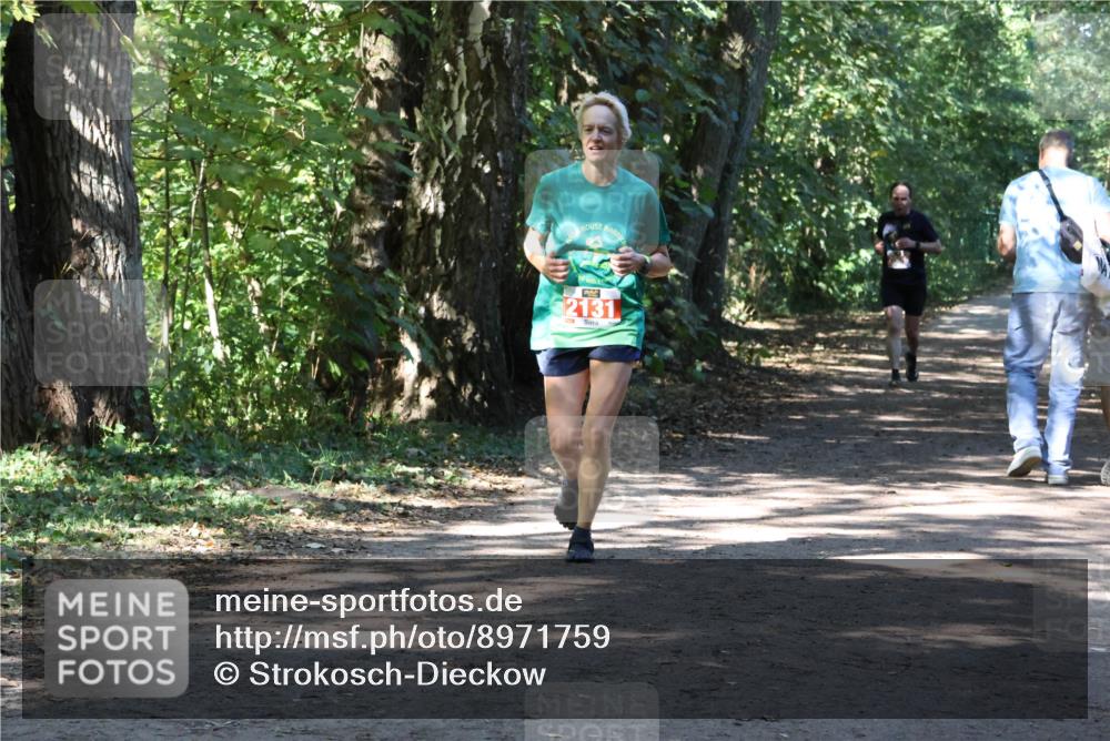 28.09.2025 - 33. Volkslauf durch das schöne Alstertal Strokosch-Dieckow http://msf.ph/oto/8971759 28.09.2025 12:21:02 Laufen 2131 meine-sportfotos.de