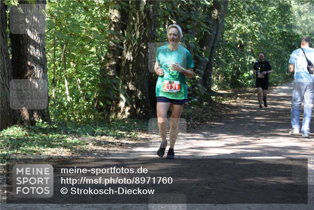 28.09.2025 - 33. Volkslauf durch das schöne Alstertal Strokosch-Dieckow http://msf.ph/oto/8971760 28.09.2025 12:21:03 Laufen 2131 meine-sportfotos.de