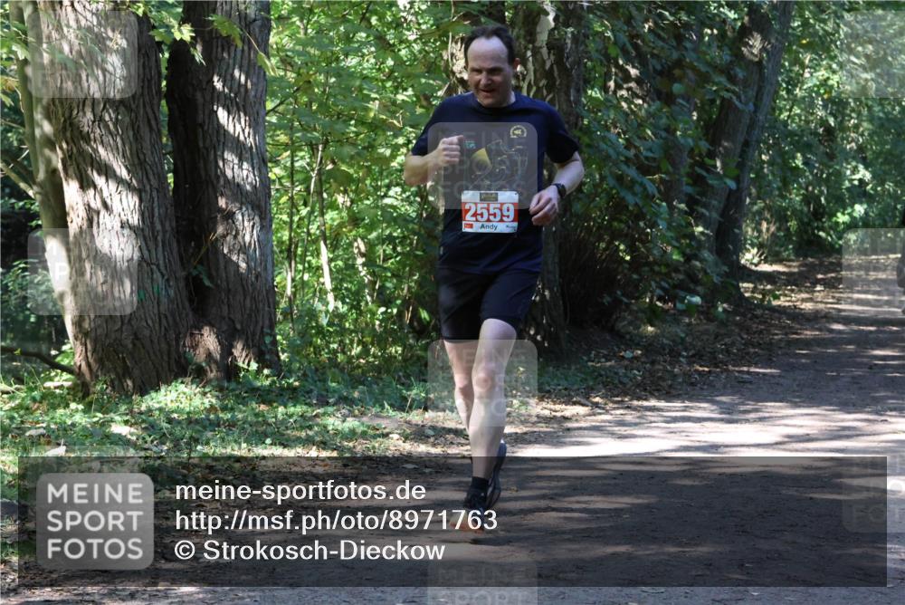 28.09.2025 - 33. Volkslauf durch das schöne Alstertal Strokosch-Dieckow http://msf.ph/oto/8971763 28.09.2025 12:21:09 Laufen 2559 meine-sportfotos.de