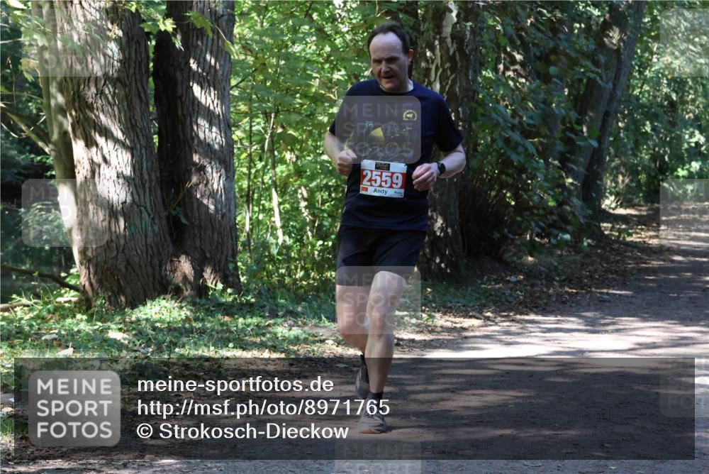 28.09.2025 - 33. Volkslauf durch das schöne Alstertal Strokosch-Dieckow http://msf.ph/oto/8971765 28.09.2025 12:21:09 Laufen 2559 meine-sportfotos.de