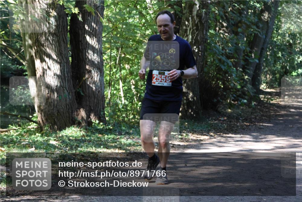 28.09.2025 - 33. Volkslauf durch das schöne Alstertal Strokosch-Dieckow http://msf.ph/oto/8971766 28.09.2025 12:21:09 Laufen 2559 meine-sportfotos.de