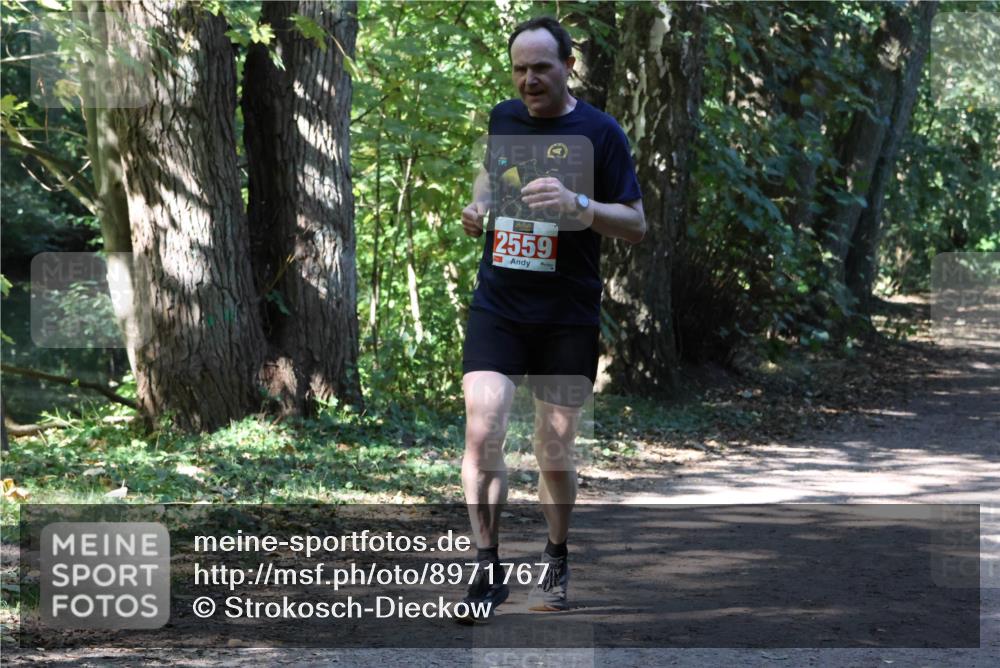 28.09.2025 - 33. Volkslauf durch das schöne Alstertal Strokosch-Dieckow http://msf.ph/oto/8971767 28.09.2025 12:21:09 Laufen 2559 meine-sportfotos.de