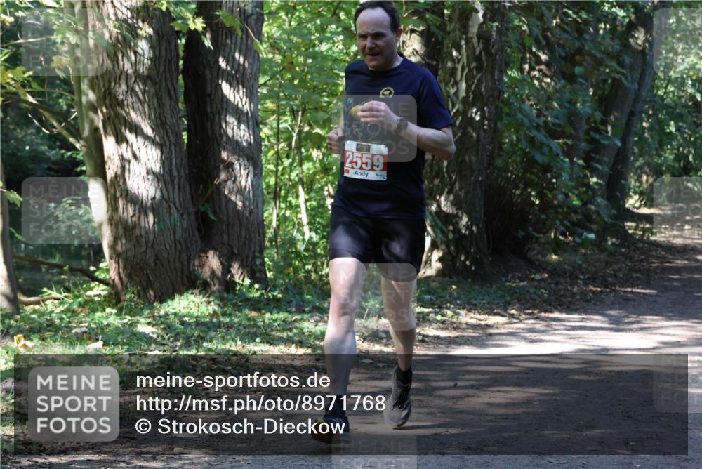 28.09.2025 - 33. Volkslauf durch das schöne Alstertal Strokosch-Dieckow http://msf.ph/oto/8971768 28.09.2025 12:21:09 Laufen 2559 meine-sportfotos.de