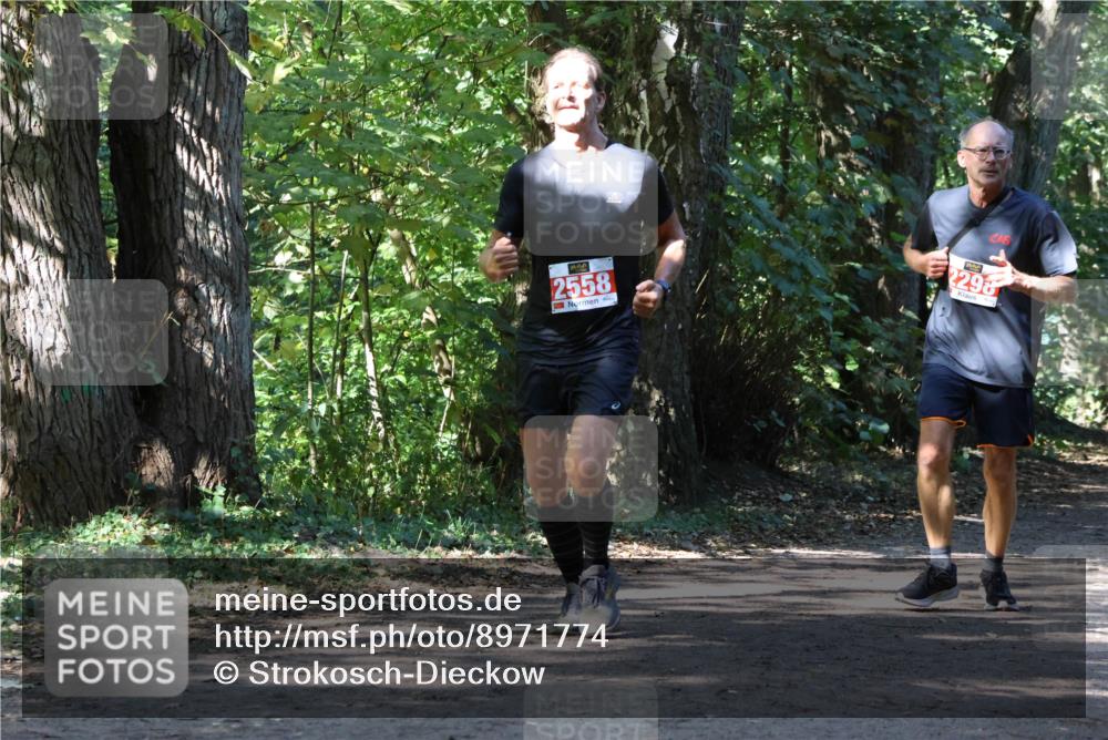 28.09.2025 - 33. Volkslauf durch das schöne Alstertal Strokosch-Dieckow http://msf.ph/oto/8971774 28.09.2025 12:21:58 Laufen 2558, 2298 meine-sportfotos.de