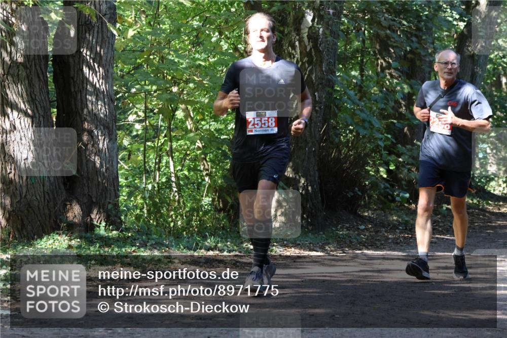 28.09.2025 - 33. Volkslauf durch das schöne Alstertal Strokosch-Dieckow http://msf.ph/oto/8971775 28.09.2025 12:21:58 Laufen 2558 meine-sportfotos.de