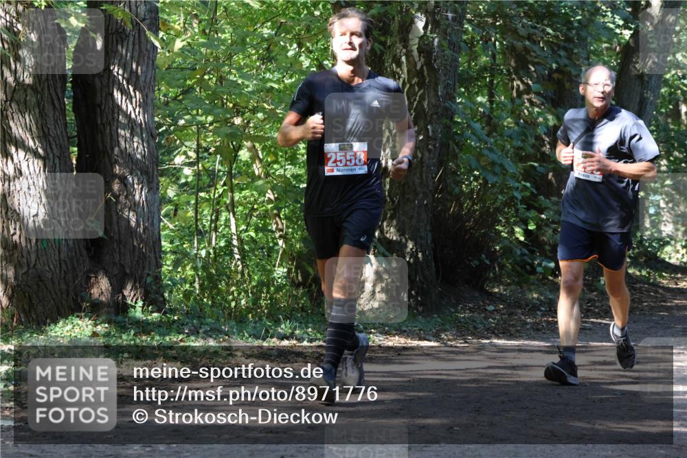 28.09.2025 - 33. Volkslauf durch das schöne Alstertal Strokosch-Dieckow http://msf.ph/oto/8971776 28.09.2025 12:21:58 Laufen 2558 meine-sportfotos.de