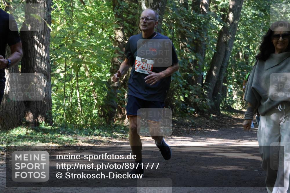 28.09.2025 - 33. Volkslauf durch das schöne Alstertal Strokosch-Dieckow http://msf.ph/oto/8971777 28.09.2025 12:21:59 Laufen 2298 meine-sportfotos.de