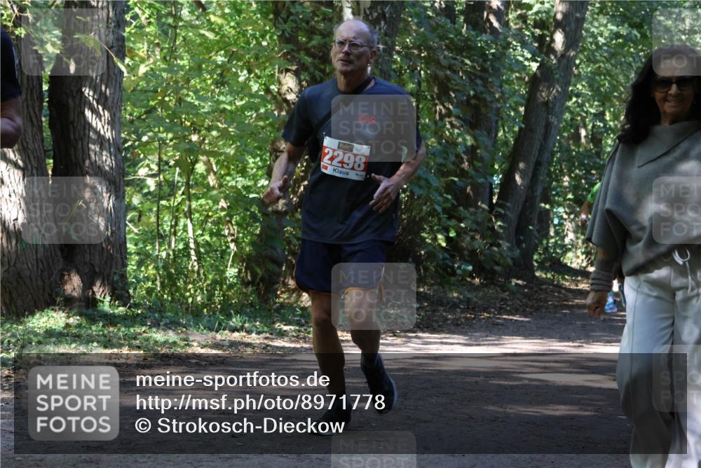 28.09.2025 - 33. Volkslauf durch das schöne Alstertal Strokosch-Dieckow http://msf.ph/oto/8971778 28.09.2025 12:22:00 Laufen 2298 meine-sportfotos.de