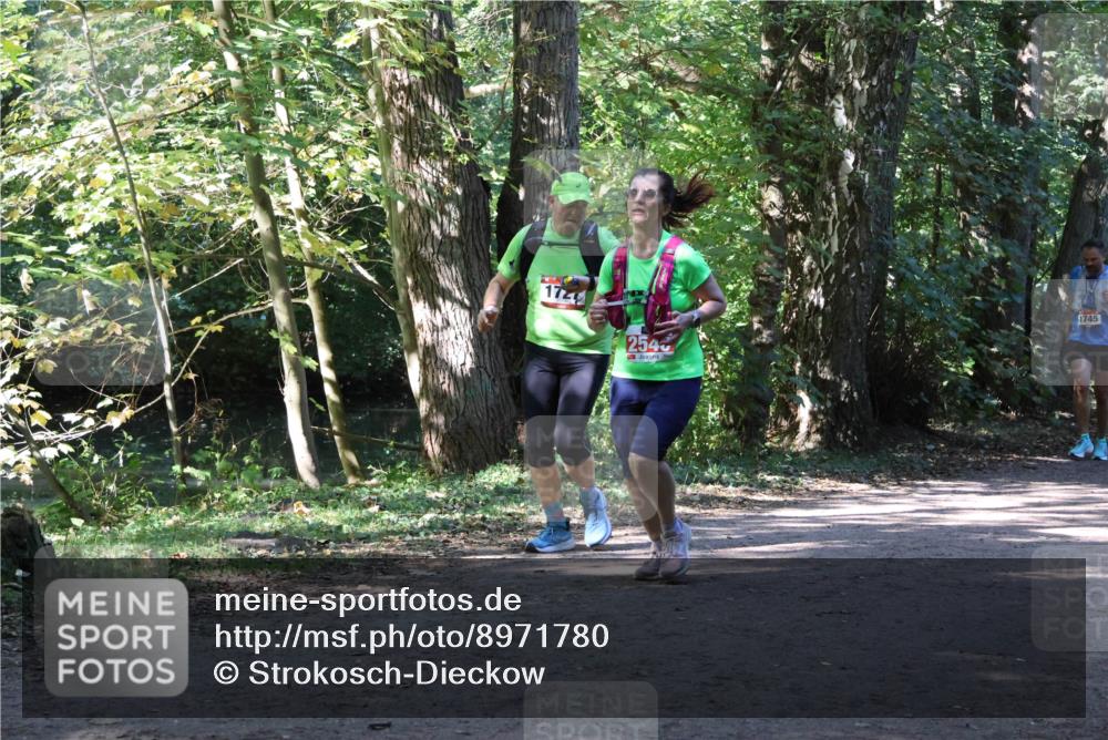 28.09.2025 - 33. Volkslauf durch das schöne Alstertal Strokosch-Dieckow http://msf.ph/oto/8971780 28.09.2025 12:22:05 Laufen 172, 254, 1745 meine-sportfotos.de