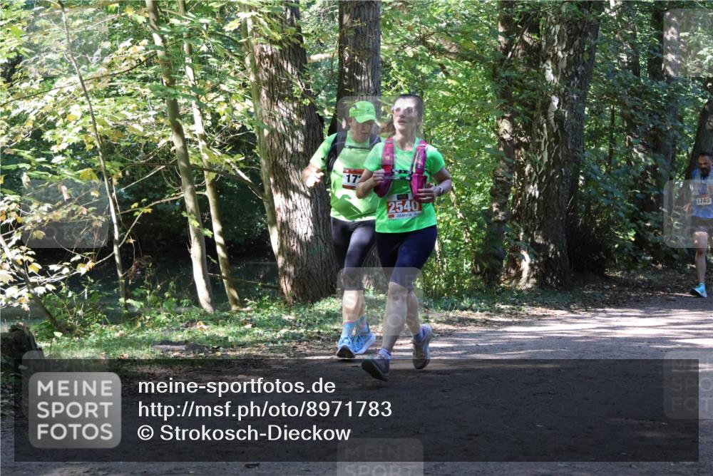 28.09.2025 - 33. Volkslauf durch das schöne Alstertal Strokosch-Dieckow http://msf.ph/oto/8971783 28.09.2025 12:22:06 Laufen 17, 2540, 1745 meine-sportfotos.de
