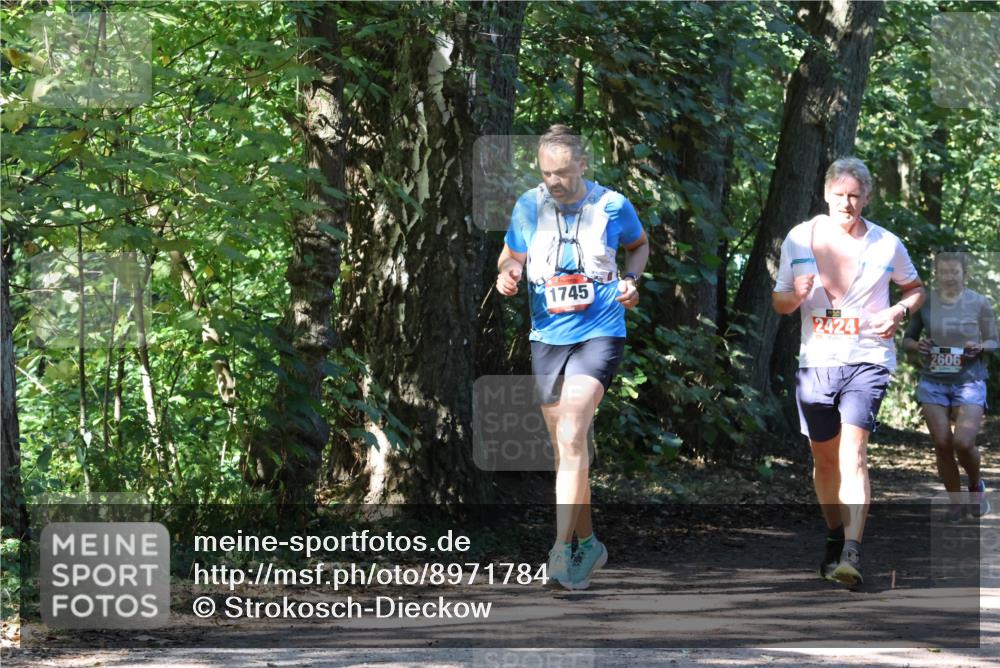 28.09.2025 - 33. Volkslauf durch das schöne Alstertal Strokosch-Dieckow http://msf.ph/oto/8971784 28.09.2025 12:22:08 Laufen 1745, 2424, 2606 meine-sportfotos.de