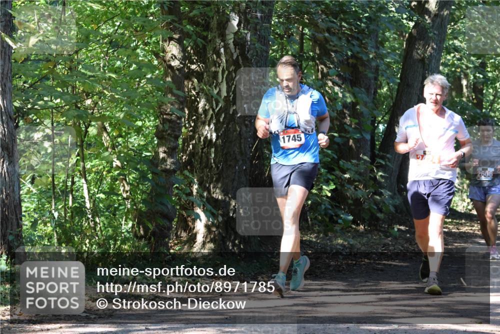 28.09.2025 - 33. Volkslauf durch das schöne Alstertal Strokosch-Dieckow http://msf.ph/oto/8971785 28.09.2025 12:22:08 Laufen 1745, 2606 meine-sportfotos.de