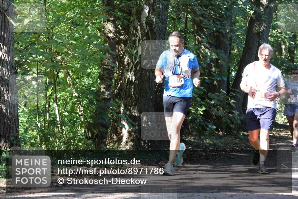 28.09.2025 - 33. Volkslauf durch das schöne Alstertal Strokosch-Dieckow http://msf.ph/oto/8971786 28.09.2025 12:22:08 Laufen 1745, 224, 260 meine-sportfotos.de