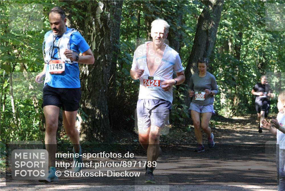 28.09.2025 - 33. Volkslauf durch das schöne Alstertal Strokosch-Dieckow http://msf.ph/oto/8971789 28.09.2025 12:22:09 Laufen 1745, 2424, 2606 meine-sportfotos.de