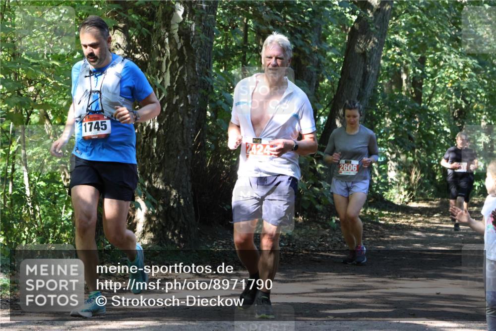 28.09.2025 - 33. Volkslauf durch das schöne Alstertal Strokosch-Dieckow http://msf.ph/oto/8971790 28.09.2025 12:22:09 Laufen 1745, 2424, 2606 meine-sportfotos.de