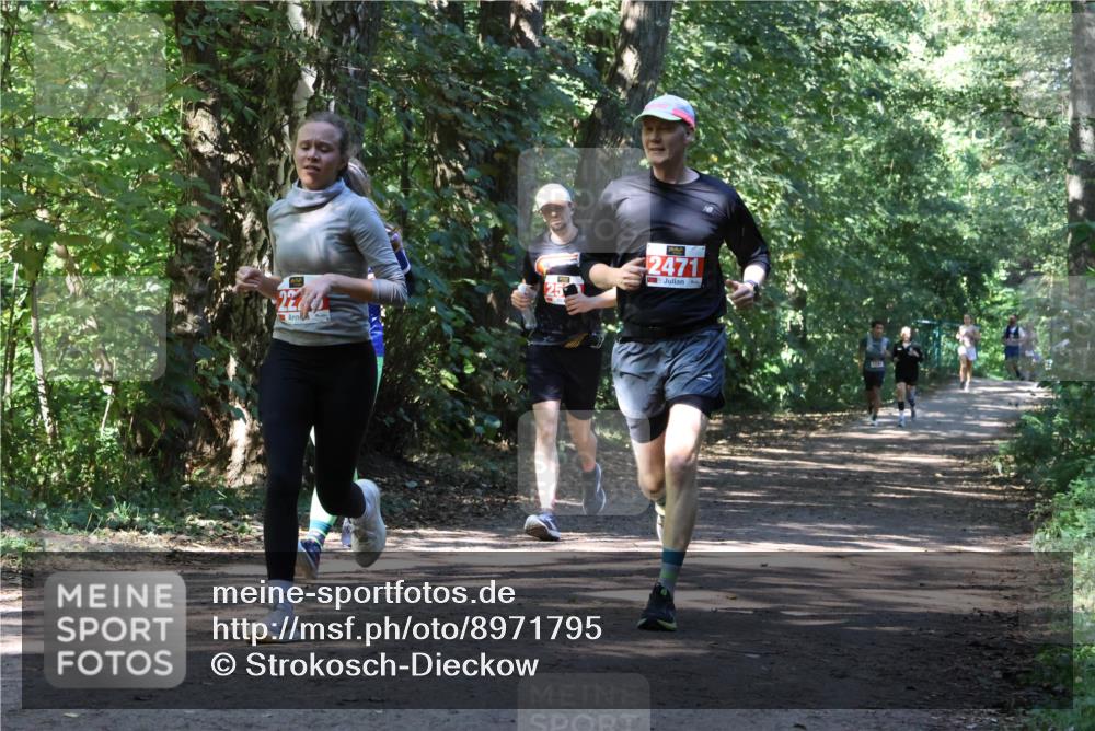 28.09.2025 - 33. Volkslauf durch das schöne Alstertal Strokosch-Dieckow http://msf.ph/oto/8971795 28.09.2025 12:22:24 Laufen 22, 2471 meine-sportfotos.de