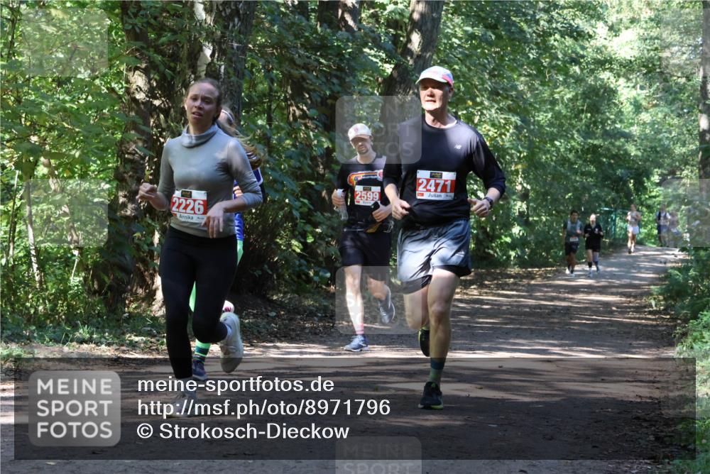 28.09.2025 - 33. Volkslauf durch das schöne Alstertal Strokosch-Dieckow http://msf.ph/oto/8971796 28.09.2025 12:22:24 Laufen 2226, 2599, 2471 meine-sportfotos.de