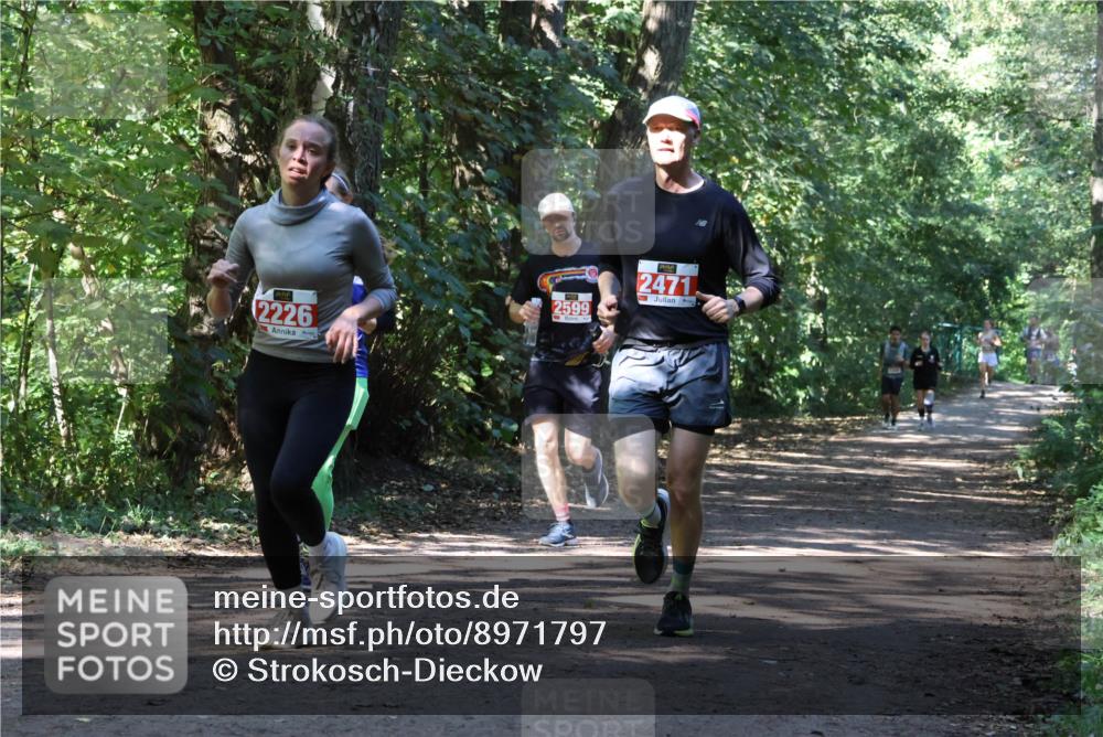 28.09.2025 - 33. Volkslauf durch das schöne Alstertal Strokosch-Dieckow http://msf.ph/oto/8971797 28.09.2025 12:22:24 Laufen 2226, 2599, 2471 meine-sportfotos.de
