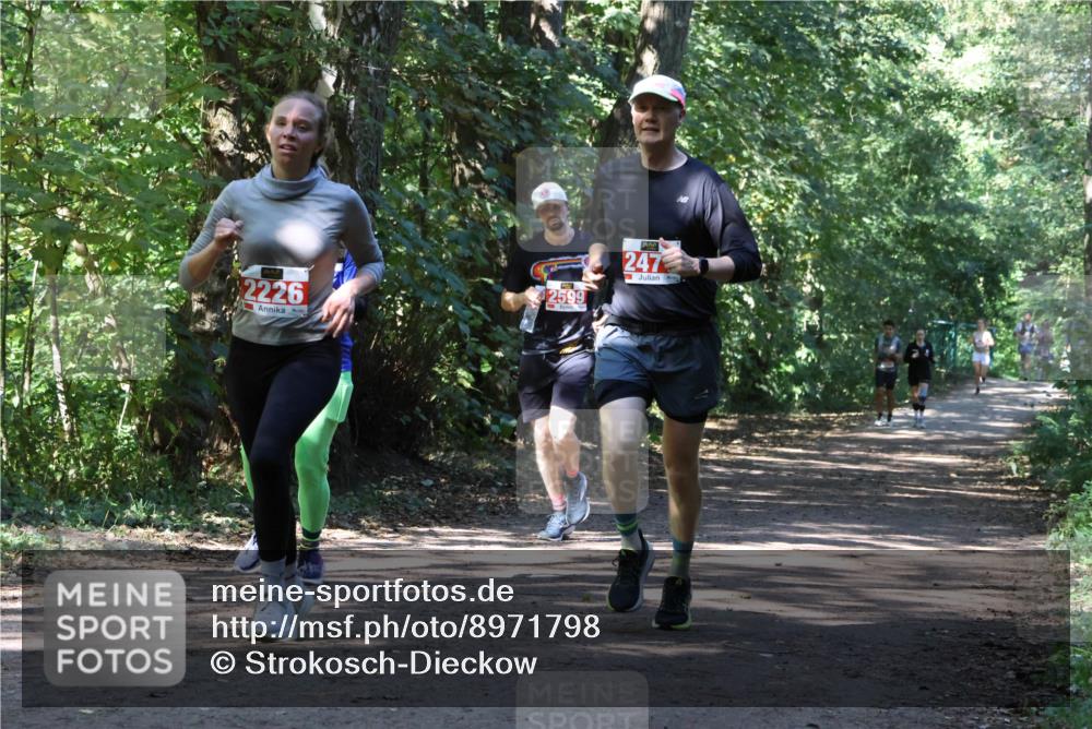 28.09.2025 - 33. Volkslauf durch das schöne Alstertal Strokosch-Dieckow http://msf.ph/oto/8971798 28.09.2025 12:22:24 Laufen 2226, 2599, 247 meine-sportfotos.de