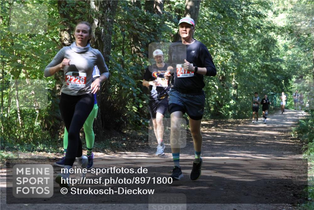 28.09.2025 - 33. Volkslauf durch das schöne Alstertal Strokosch-Dieckow http://msf.ph/oto/8971800 28.09.2025 12:22:25 Laufen 2226, 247 meine-sportfotos.de