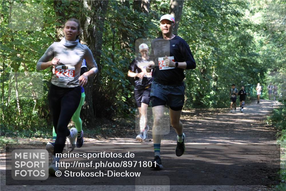 28.09.2025 - 33. Volkslauf durch das schöne Alstertal Strokosch-Dieckow http://msf.ph/oto/8971801 28.09.2025 12:22:25 Laufen 2226, 24 meine-sportfotos.de