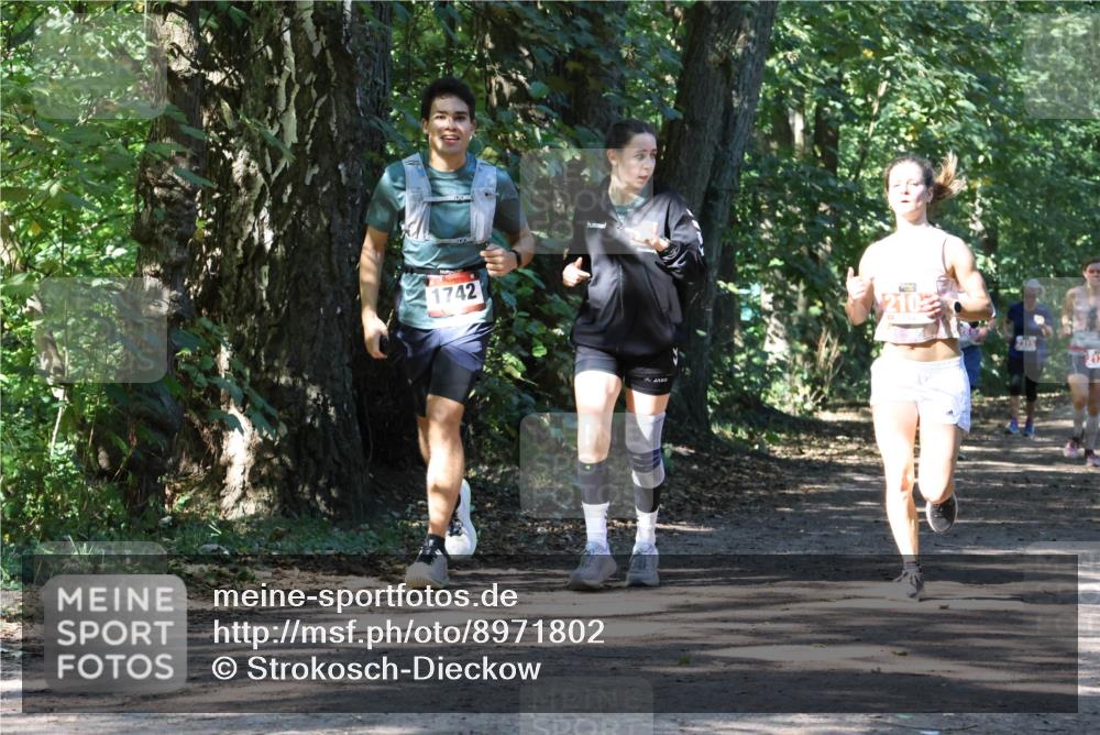 28.09.2025 - 33. Volkslauf durch das schöne Alstertal Strokosch-Dieckow http://msf.ph/oto/8971802 28.09.2025 12:22:40 Laufen 1742, 210 meine-sportfotos.de