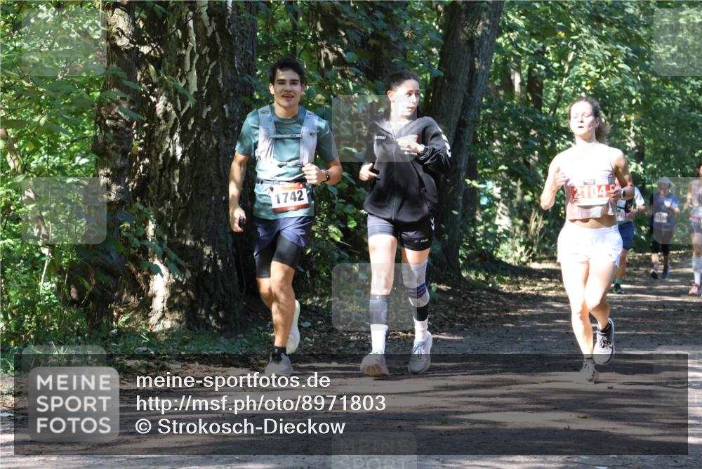 28.09.2025 - 33. Volkslauf durch das schöne Alstertal Strokosch-Dieckow http://msf.ph/oto/8971803 28.09.2025 12:22:40 Laufen 1742, 2104, 2014 meine-sportfotos.de