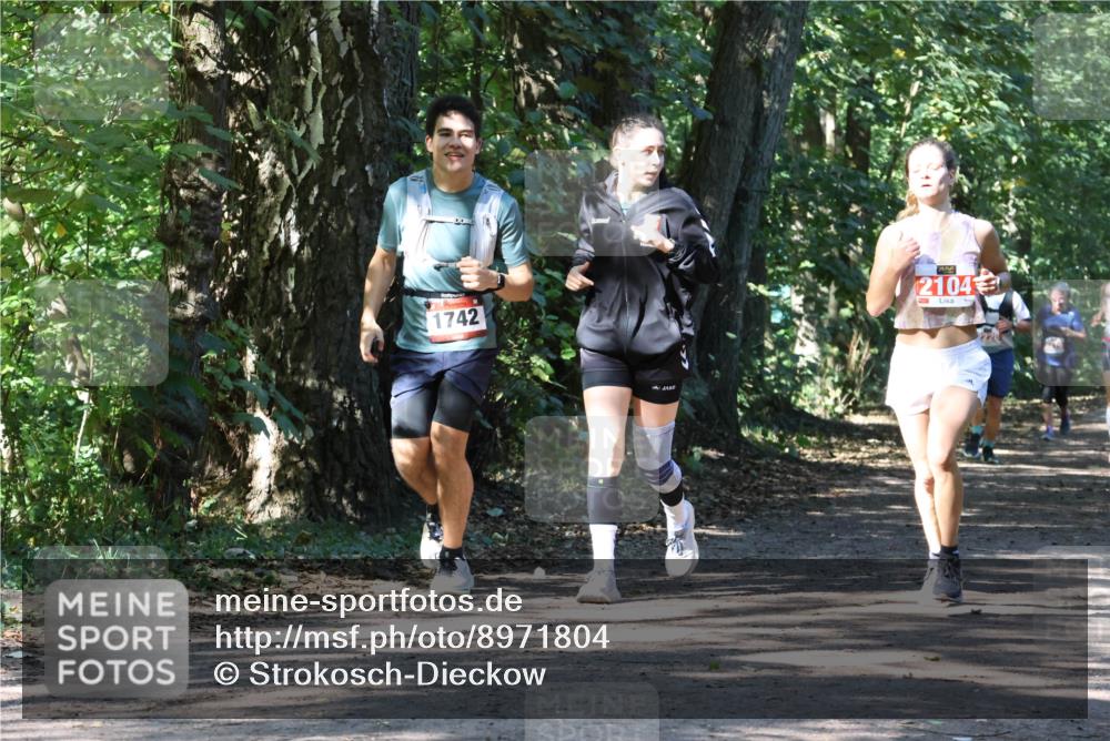 28.09.2025 - 33. Volkslauf durch das schöne Alstertal Strokosch-Dieckow http://msf.ph/oto/8971804 28.09.2025 12:22:40 Laufen 1742, 2104 meine-sportfotos.de