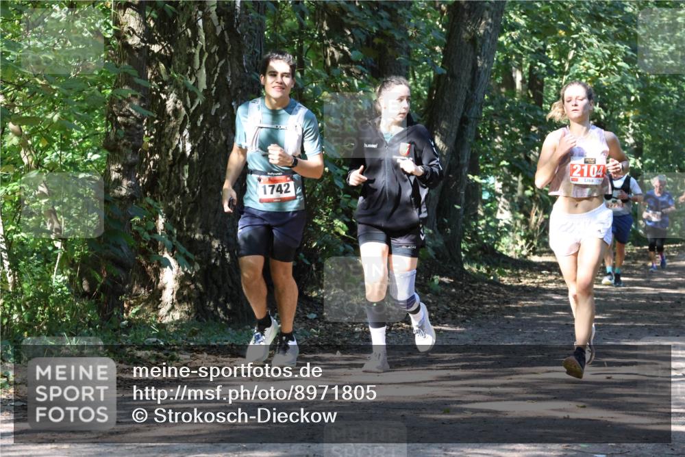 28.09.2025 - 33. Volkslauf durch das schöne Alstertal Strokosch-Dieckow http://msf.ph/oto/8971805 28.09.2025 12:22:41 Laufen 1742, 2104 meine-sportfotos.de
