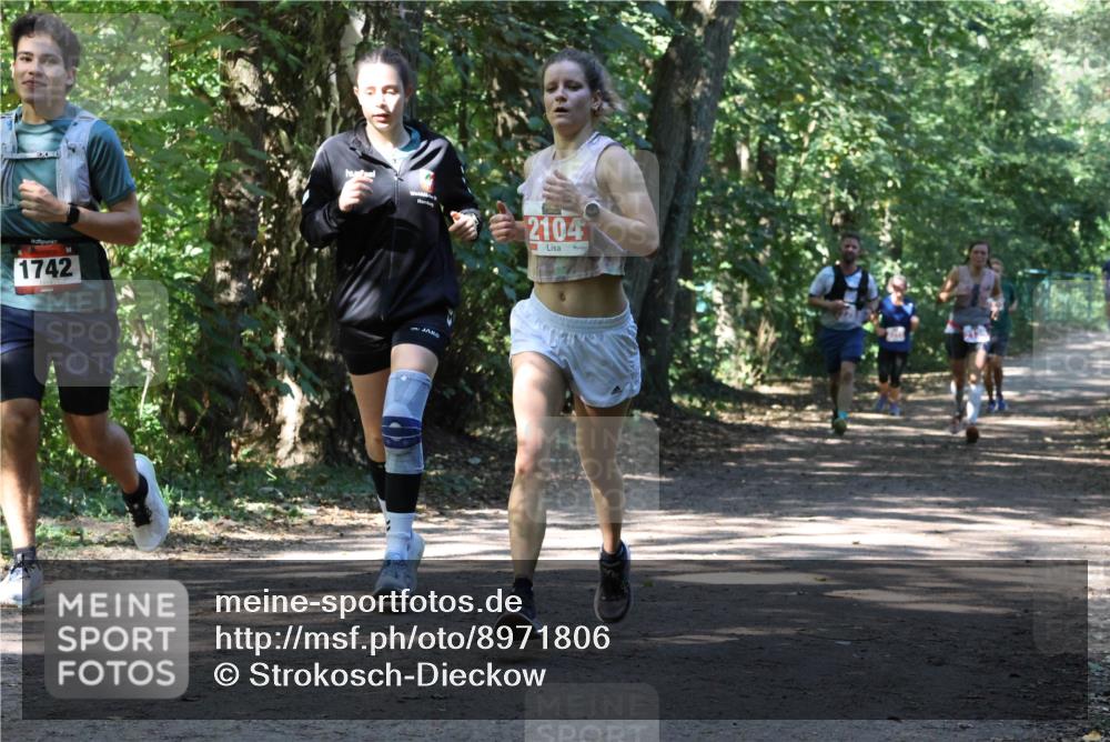 28.09.2025 - 33. Volkslauf durch das schöne Alstertal Strokosch-Dieckow http://msf.ph/oto/8971806 28.09.2025 12:22:42 Laufen 1742, 2104 meine-sportfotos.de