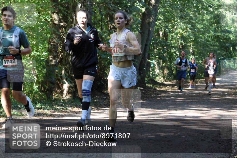 28.09.2025 - 33. Volkslauf durch das schöne Alstertal Strokosch-Dieckow http://msf.ph/oto/8971807 28.09.2025 12:22:42 Laufen 1742, 2104 meine-sportfotos.de