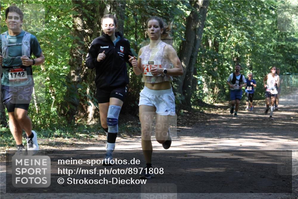 28.09.2025 - 33. Volkslauf durch das schöne Alstertal Strokosch-Dieckow http://msf.ph/oto/8971808 28.09.2025 12:22:42 Laufen 1742, 21 meine-sportfotos.de