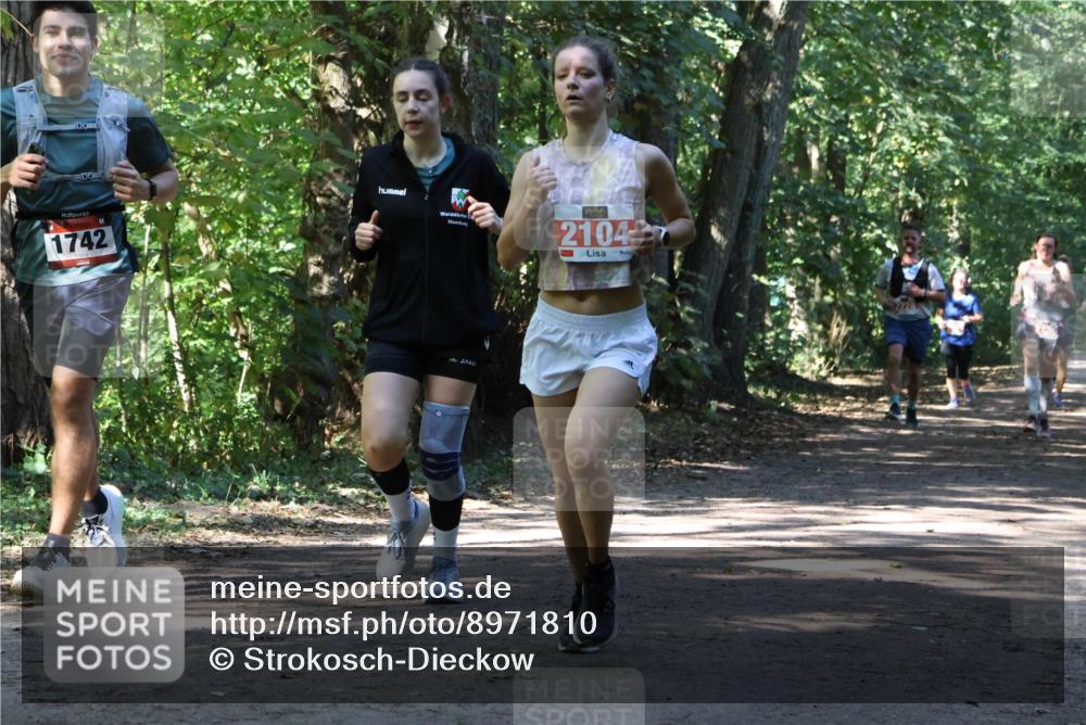 28.09.2025 - 33. Volkslauf durch das schöne Alstertal Strokosch-Dieckow http://msf.ph/oto/8971810 28.09.2025 12:22:42 Laufen 1742, 21042 meine-sportfotos.de