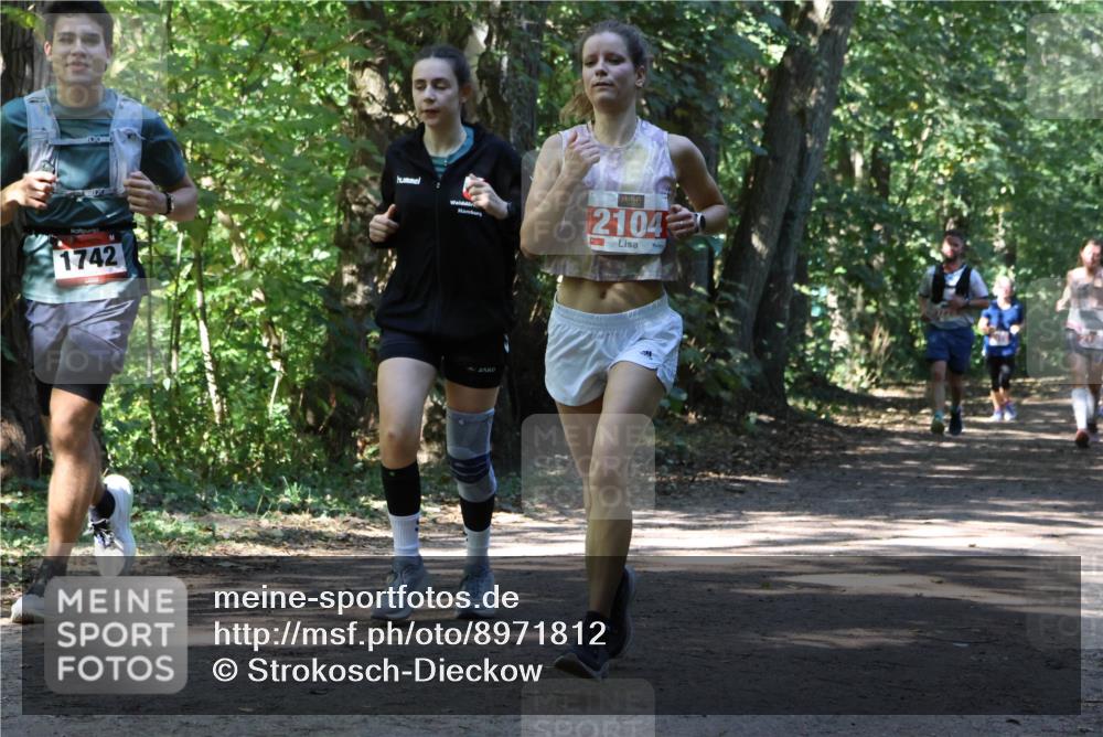 28.09.2025 - 33. Volkslauf durch das schöne Alstertal Strokosch-Dieckow http://msf.ph/oto/8971812 28.09.2025 12:22:43 Laufen 1742, 2104 meine-sportfotos.de