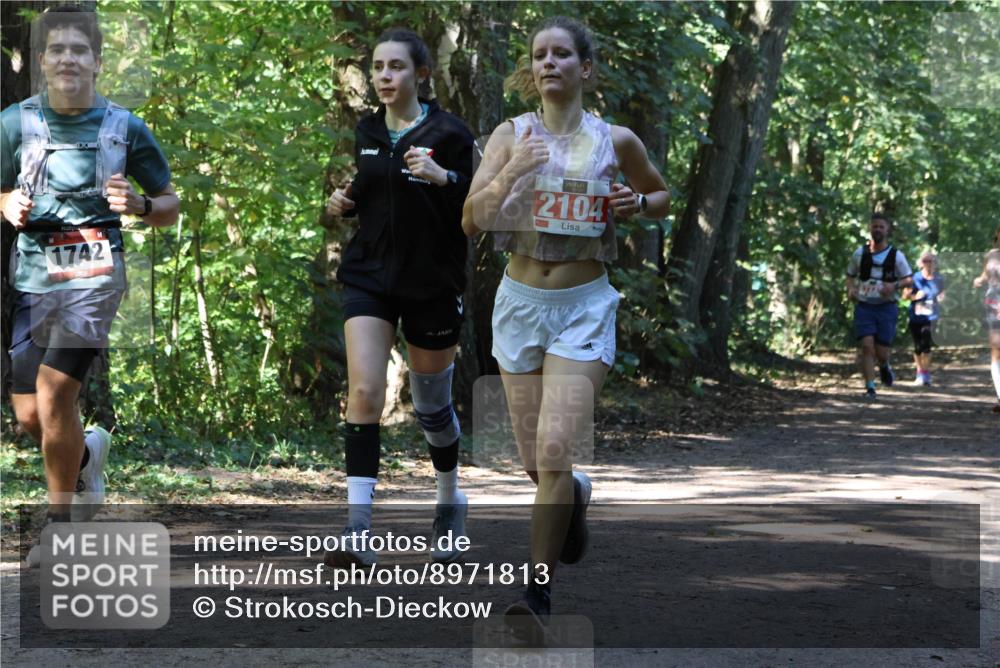 28.09.2025 - 33. Volkslauf durch das schöne Alstertal Strokosch-Dieckow http://msf.ph/oto/8971813 28.09.2025 12:22:43 Laufen 1742, 2104 meine-sportfotos.de