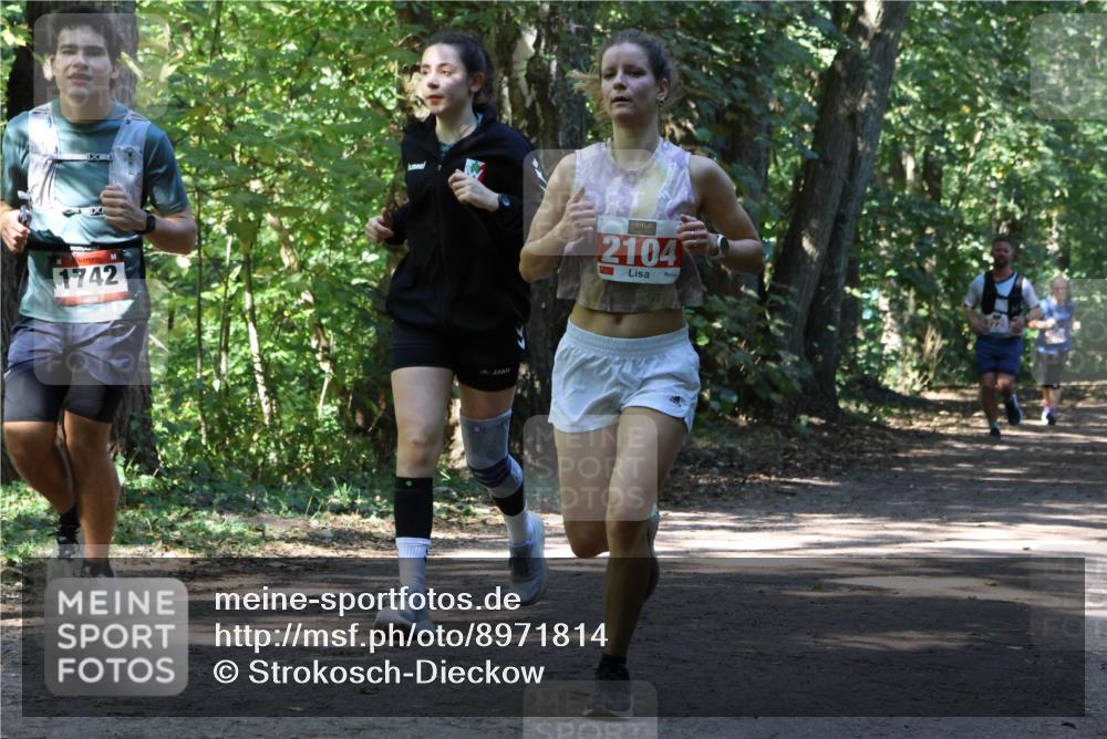 28.09.2025 - 33. Volkslauf durch das schöne Alstertal Strokosch-Dieckow http://msf.ph/oto/8971814 28.09.2025 12:22:43 Laufen 1742, 2104 meine-sportfotos.de