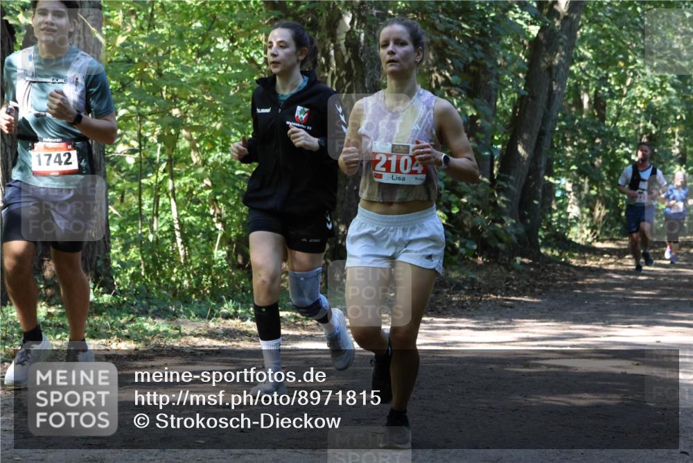 28.09.2025 - 33. Volkslauf durch das schöne Alstertal Strokosch-Dieckow http://msf.ph/oto/8971815 28.09.2025 12:22:43 Laufen 1742, 2104 meine-sportfotos.de