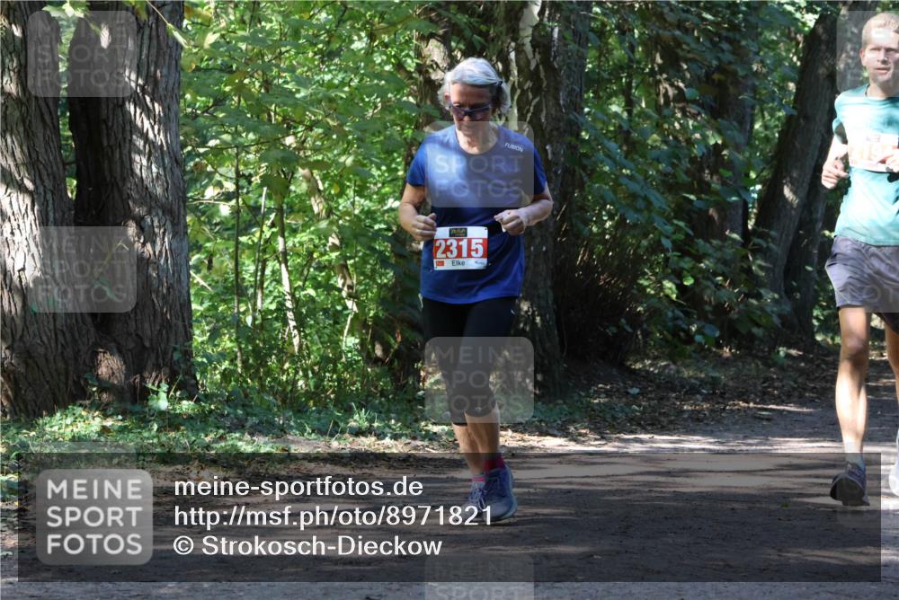 28.09.2025 - 33. Volkslauf durch das schöne Alstertal Strokosch-Dieckow http://msf.ph/oto/8971821 28.09.2025 12:22:53 Laufen 2315 meine-sportfotos.de