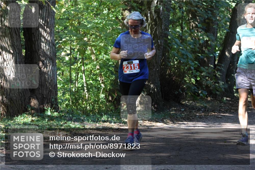 28.09.2025 - 33. Volkslauf durch das schöne Alstertal Strokosch-Dieckow http://msf.ph/oto/8971823 28.09.2025 12:22:53 Laufen 2315 meine-sportfotos.de