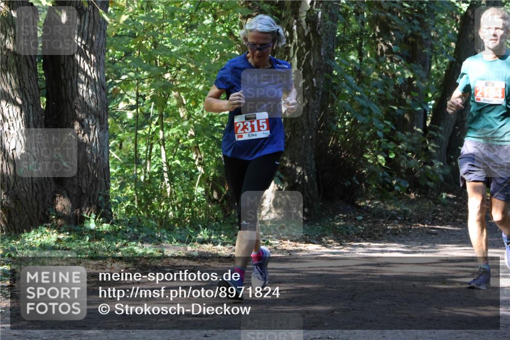 28.09.2025 - 33. Volkslauf durch das schöne Alstertal Strokosch-Dieckow http://msf.ph/oto/8971824 28.09.2025 12:22:53 Laufen 2315, 5, 00, 2194 meine-sportfotos.de