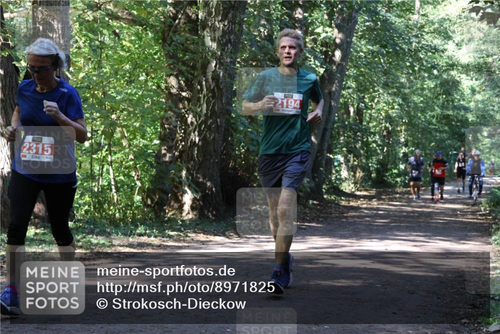 28.09.2025 - 33. Volkslauf durch das schöne Alstertal Strokosch-Dieckow http://msf.ph/oto/8971825 28.09.2025 12:22:54 Laufen 2315, 2194 meine-sportfotos.de